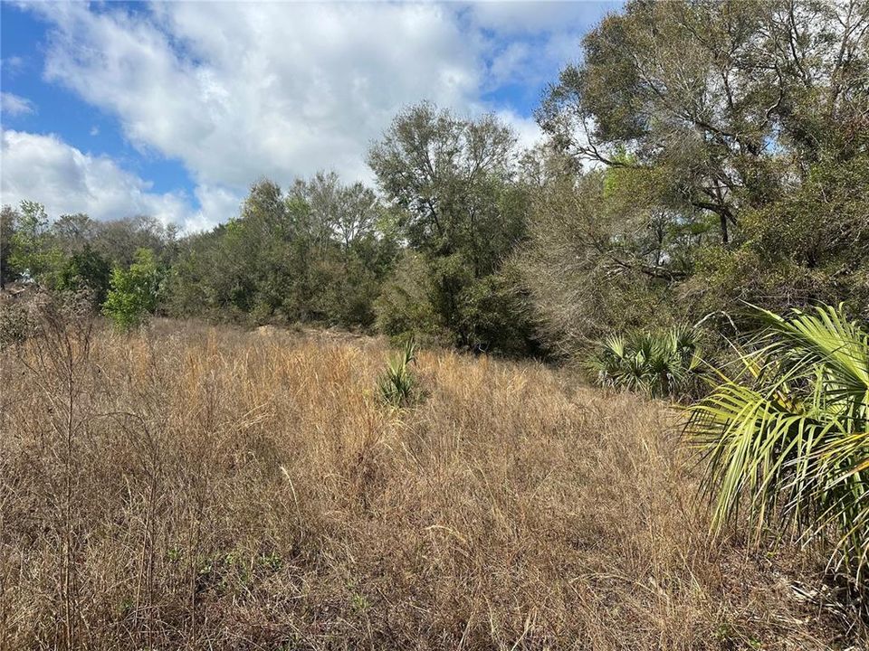 待售: $970,000 (11.60 acres)