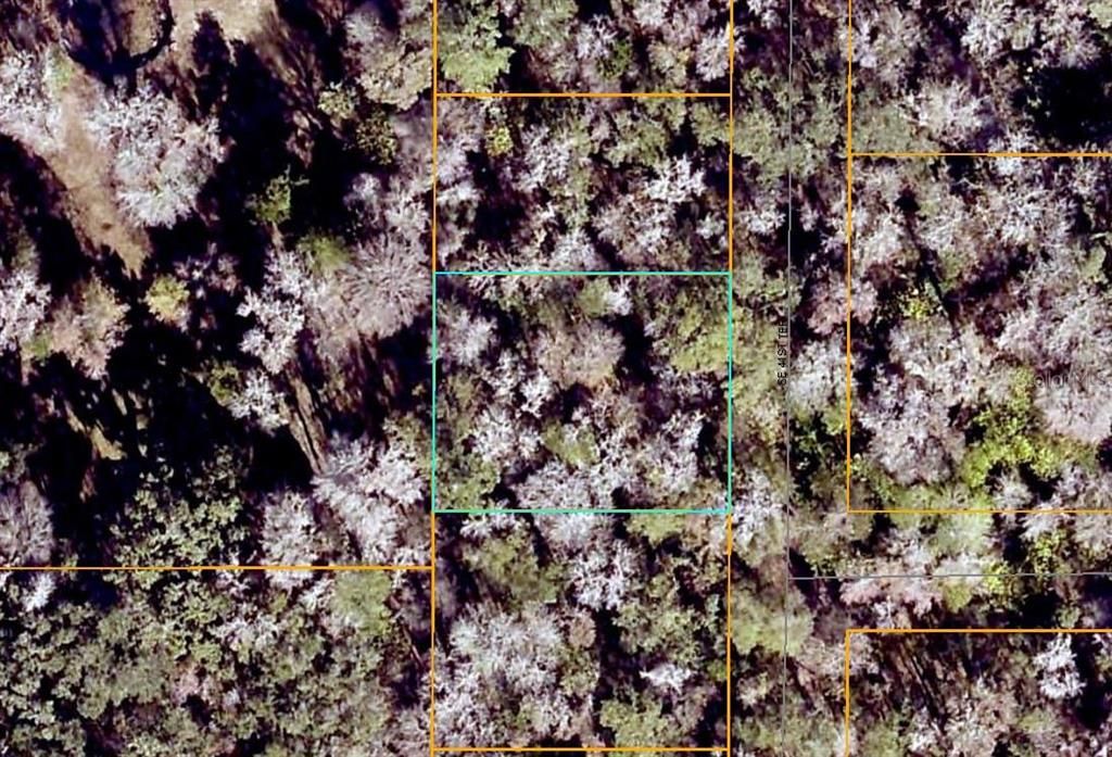 На продажу: $22,000 (0.29 acres)