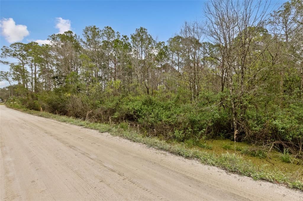 For Sale: $30,000 (0.26 acres)