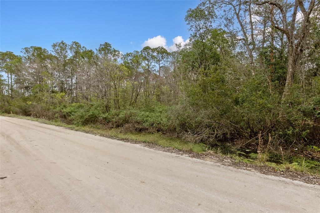 For Sale: $30,000 (0.26 acres)