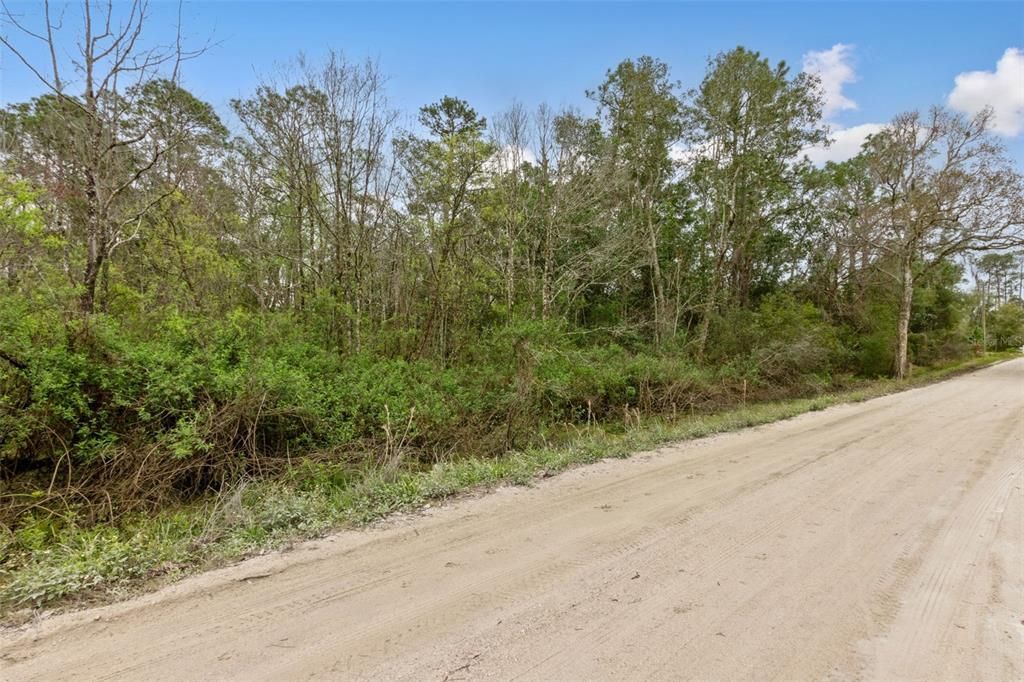 For Sale: $30,000 (0.26 acres)