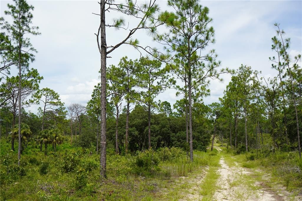 待售: $274,500 (17.00 acres)