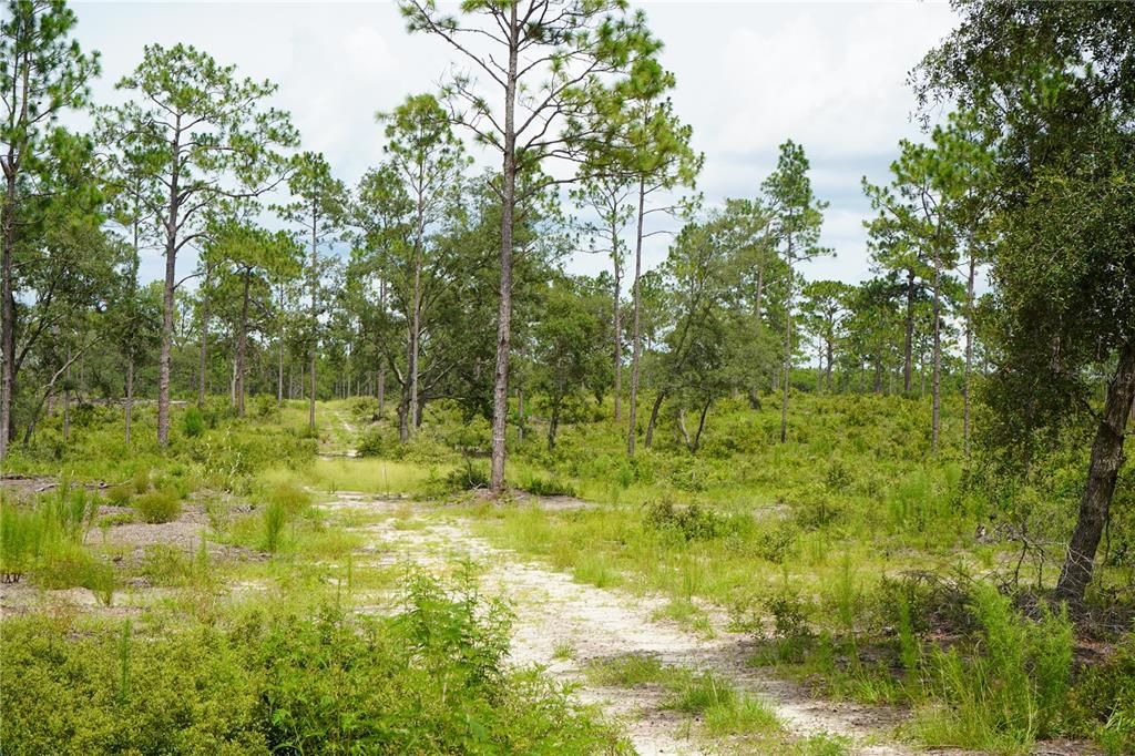 En Venta: $205,999 (13.00 acres)