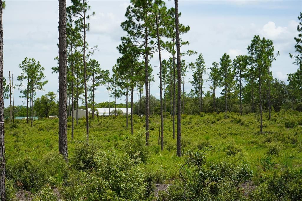 For Sale: $347,487 (22.80 acres)