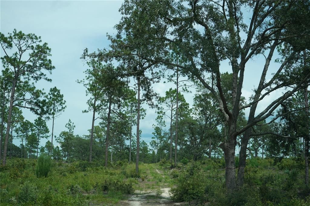 For Sale: $347,487 (22.80 acres)