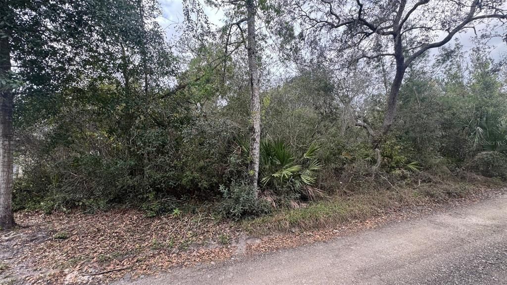 En Venta: $65,000 (0.24 acres)