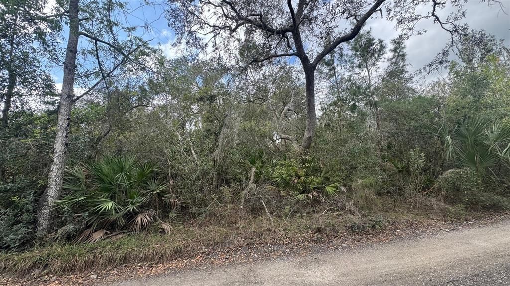 En Venta: $65,000 (0.24 acres)