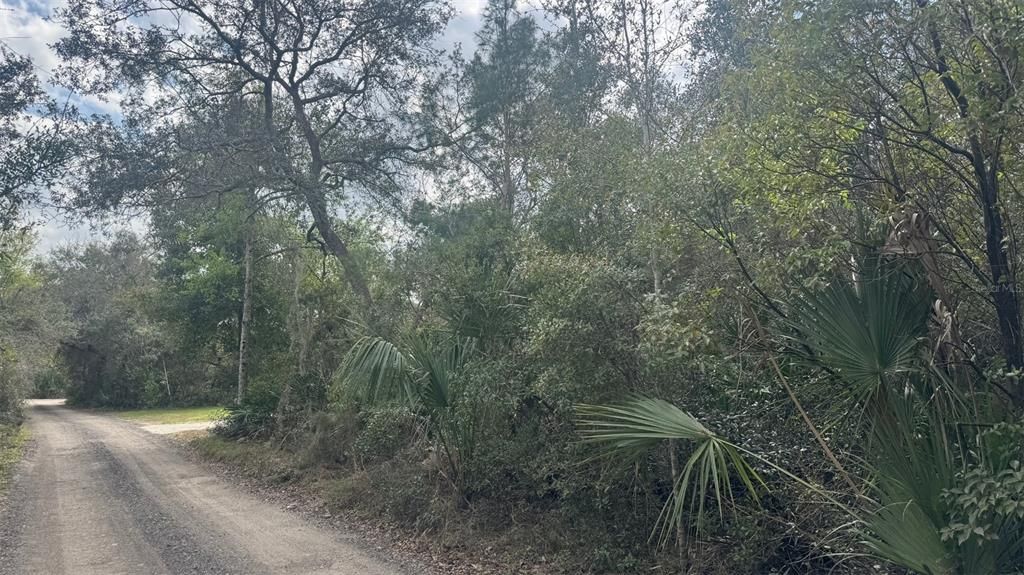 En Venta: $65,000 (0.24 acres)