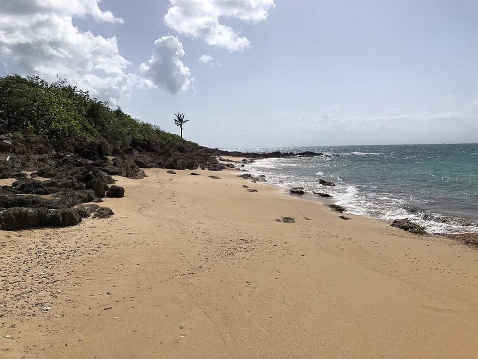 For Sale: $499,000 (2 beds, 1 baths, 900 Square Feet)