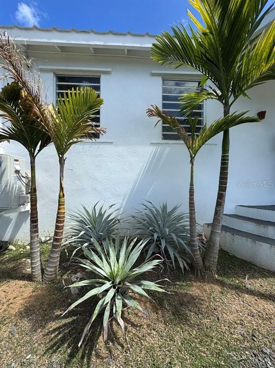 For Sale: $499,000 (2 beds, 1 baths, 900 Square Feet)