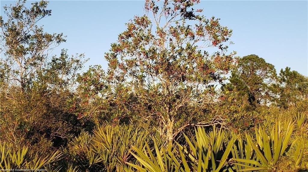 待售: $20,000 (1.00 acres)