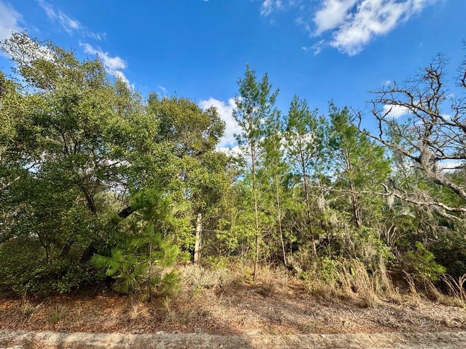 Recently Sold: $22,000 (0.46 acres)