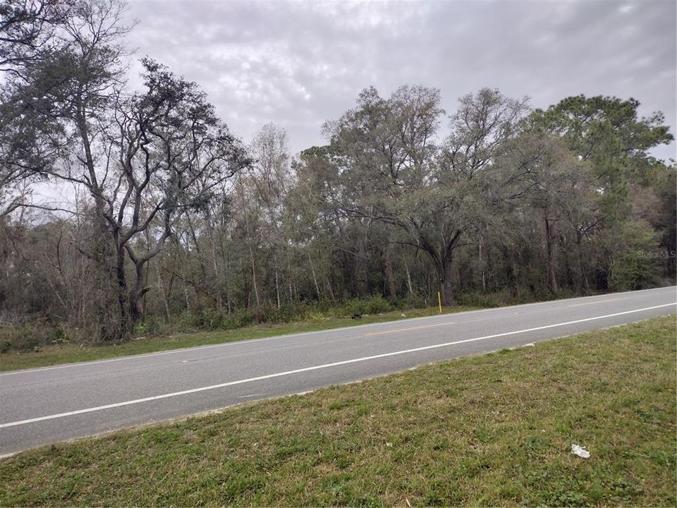 На продажу: $120,000 (1.38 acres)