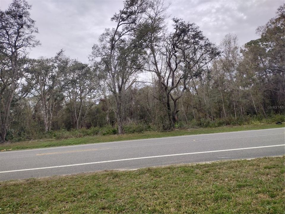 На продажу: $120,000 (1.38 acres)