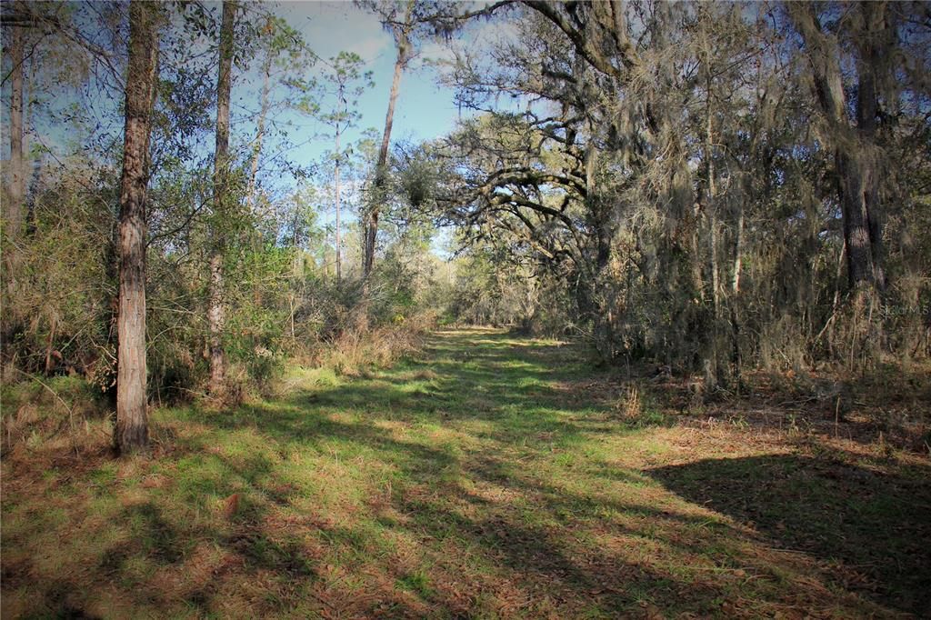 For Sale: $476,000 (27.00 acres)