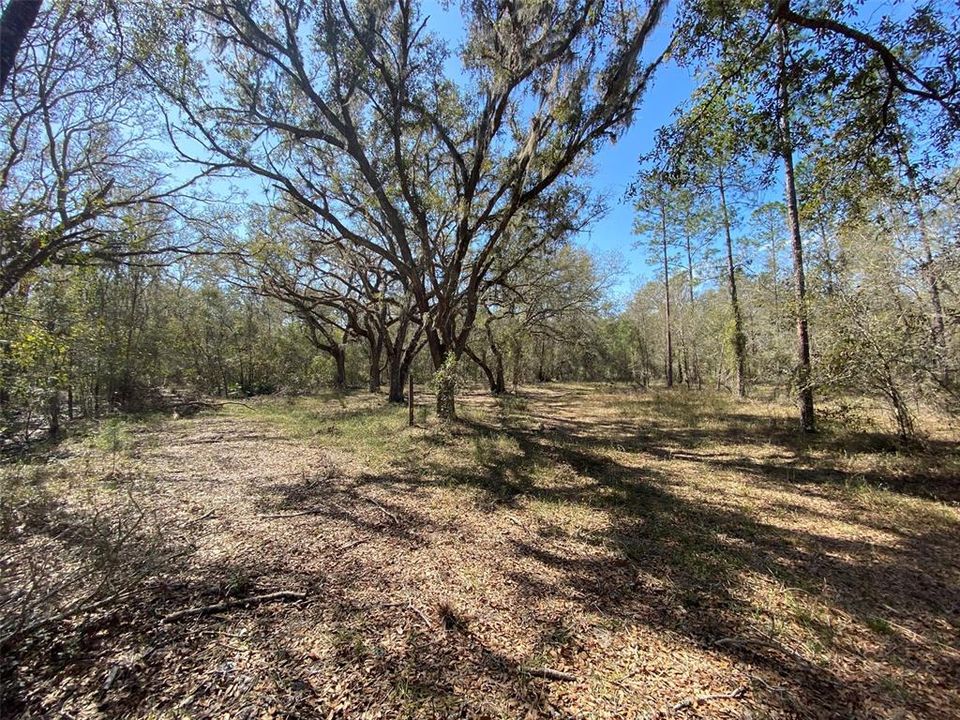 For Sale: $476,000 (27.00 acres)