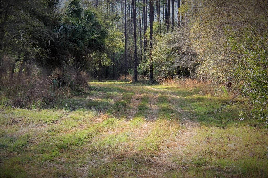 For Sale: $476,000 (27.00 acres)