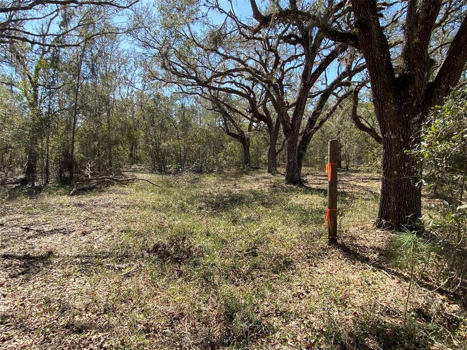 For Sale: $476,000 (27.00 acres)