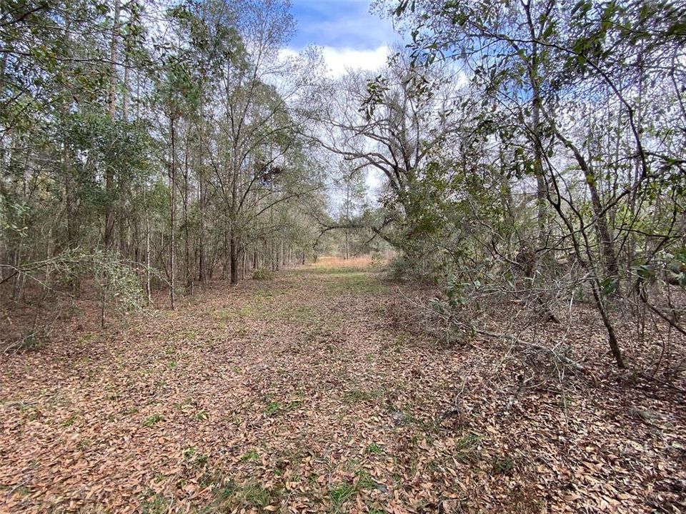 For Sale: $476,000 (27.00 acres)