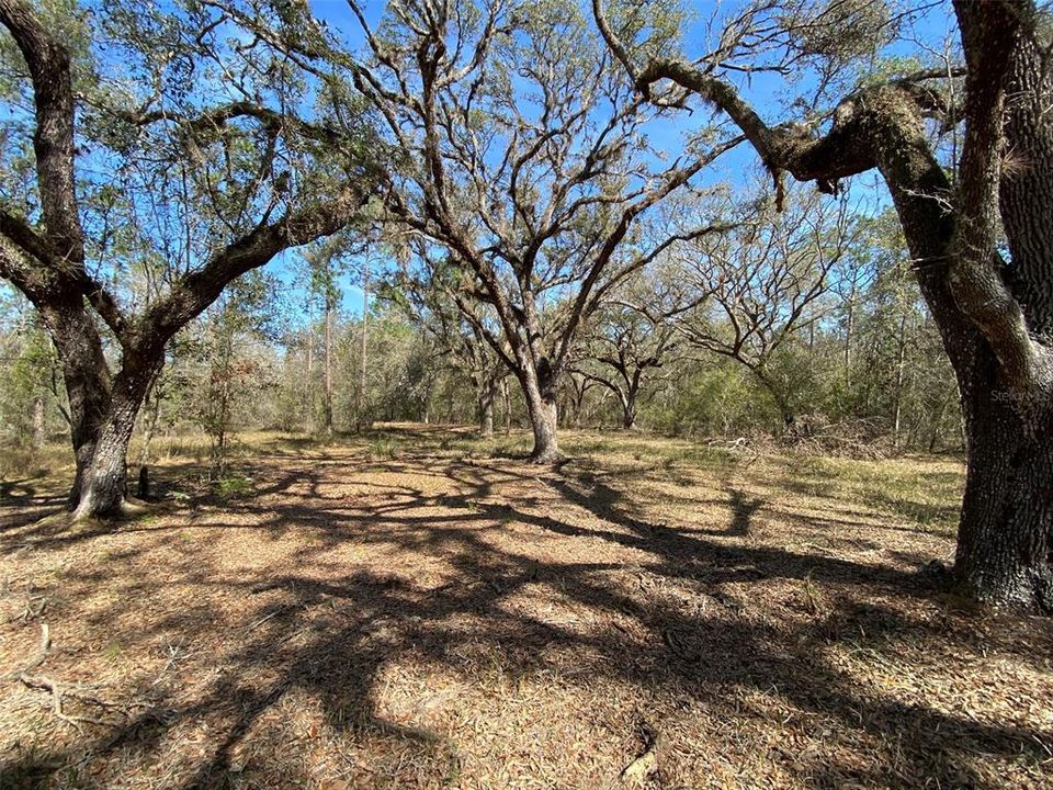 For Sale: $476,000 (27.00 acres)