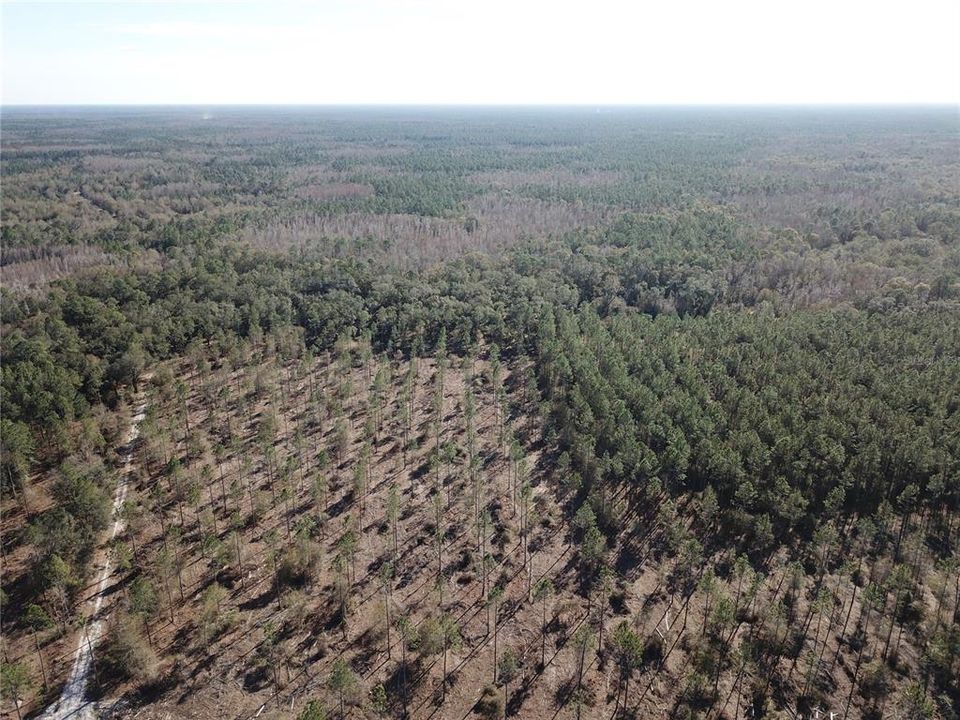 For Sale: $476,000 (27.00 acres)