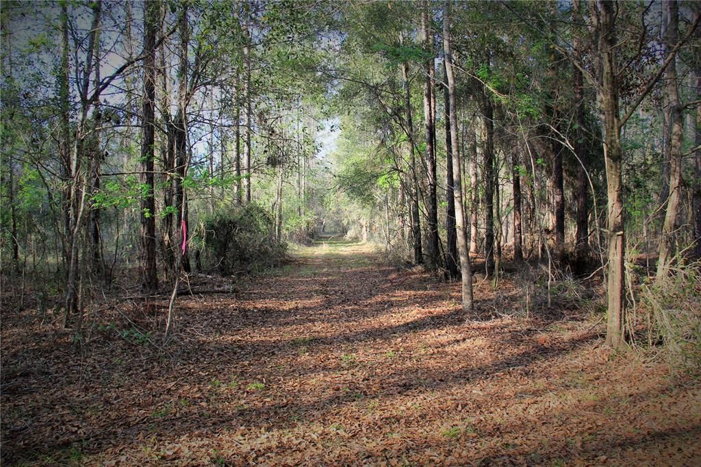 For Sale: $476,000 (27.00 acres)