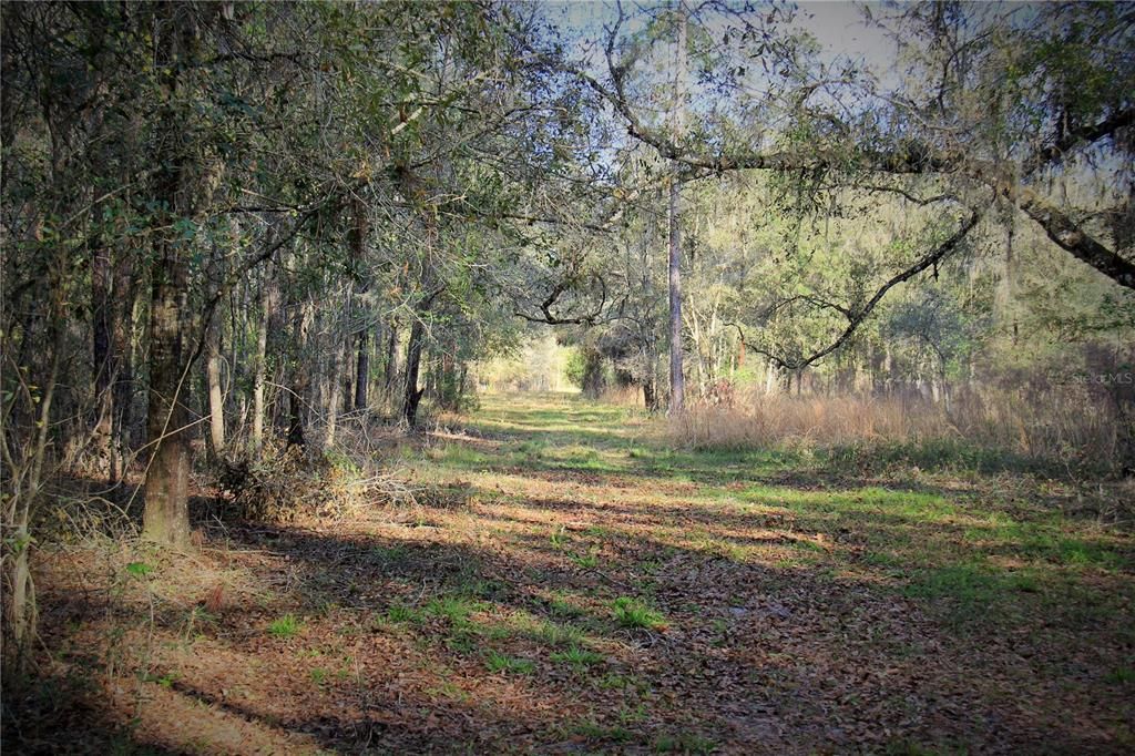 For Sale: $476,000 (27.00 acres)