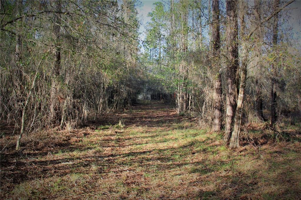 For Sale: $476,000 (27.00 acres)