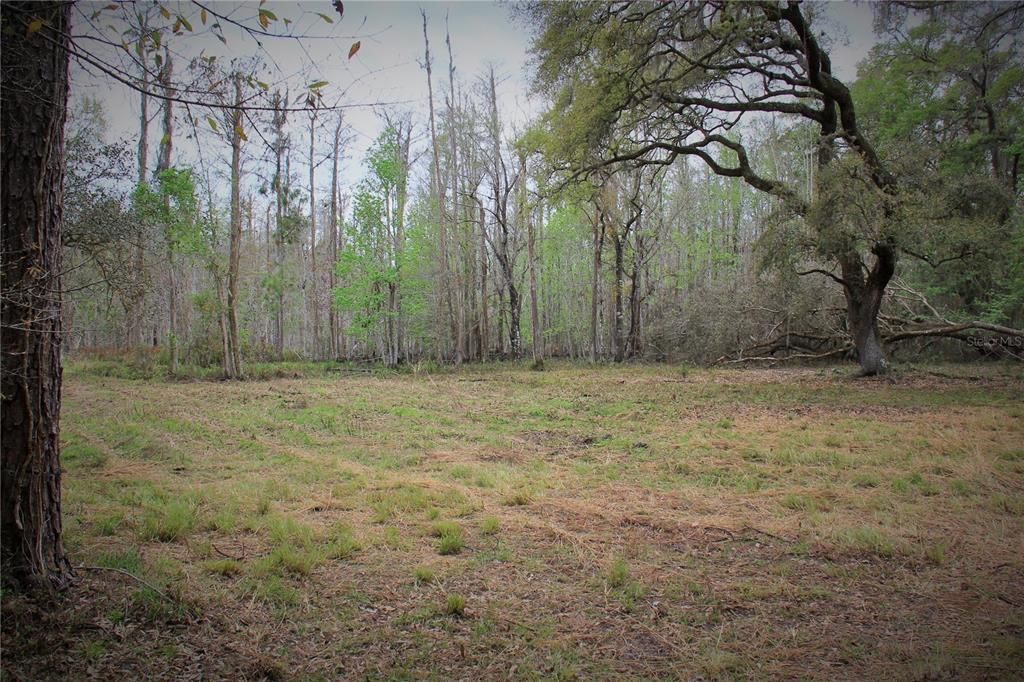 For Sale: $476,000 (27.00 acres)