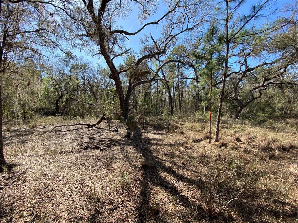 For Sale: $476,000 (27.00 acres)