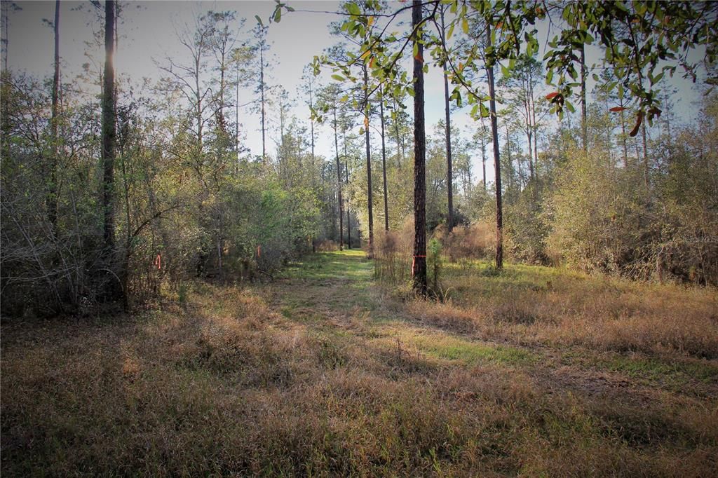 For Sale: $476,000 (27.00 acres)