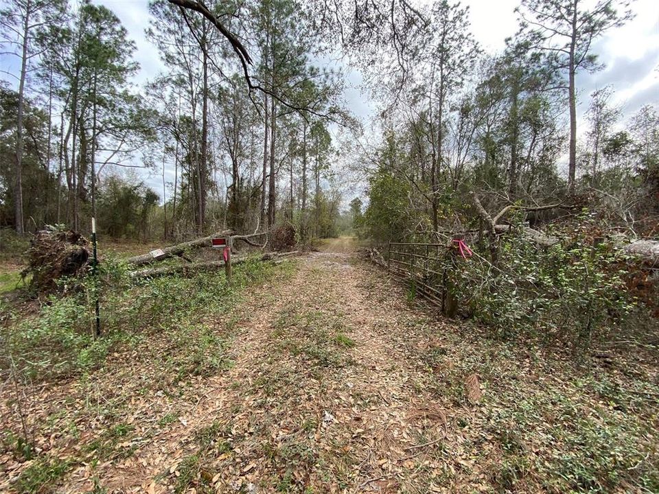 For Sale: $476,000 (27.00 acres)