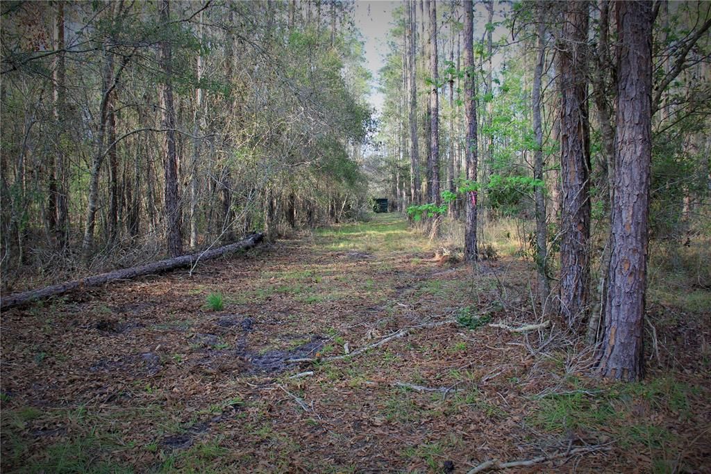 For Sale: $476,000 (27.00 acres)