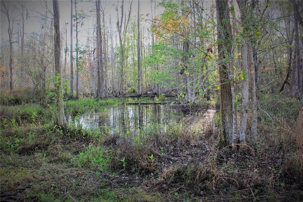 For Sale: $476,000 (27.00 acres)