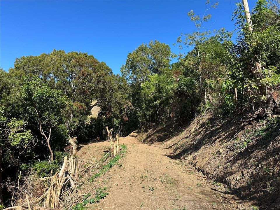 На продажу: $249,000 (3.74 acres)