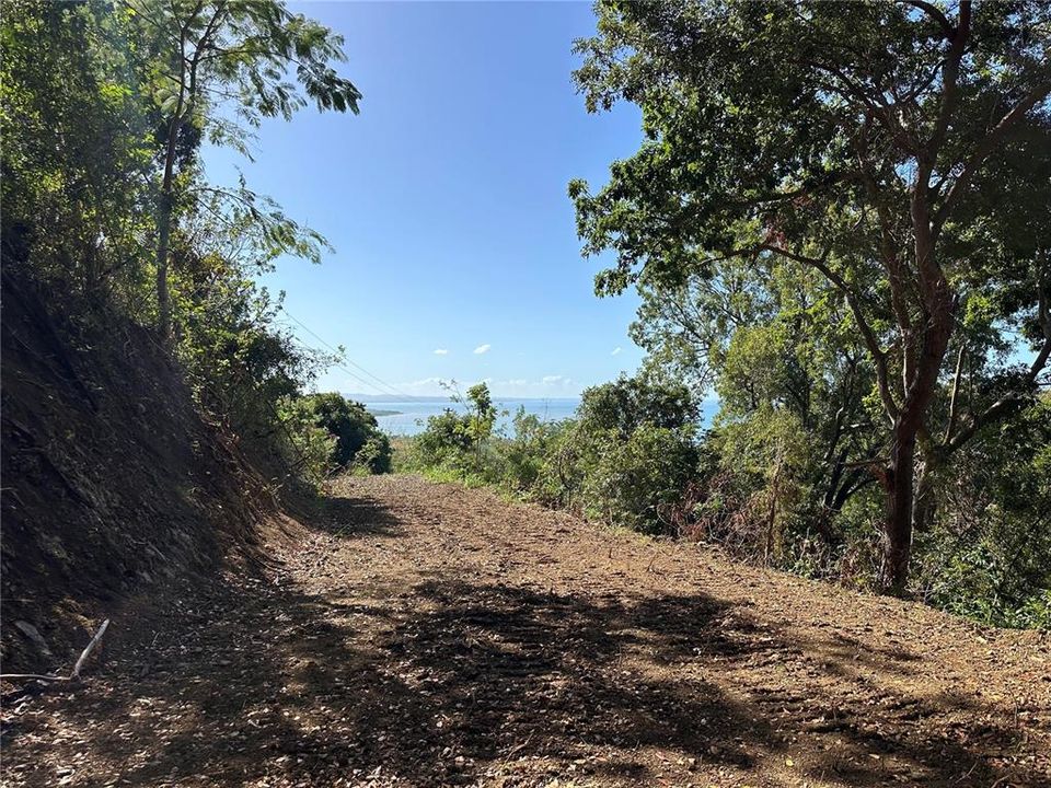 На продажу: $249,000 (3.74 acres)