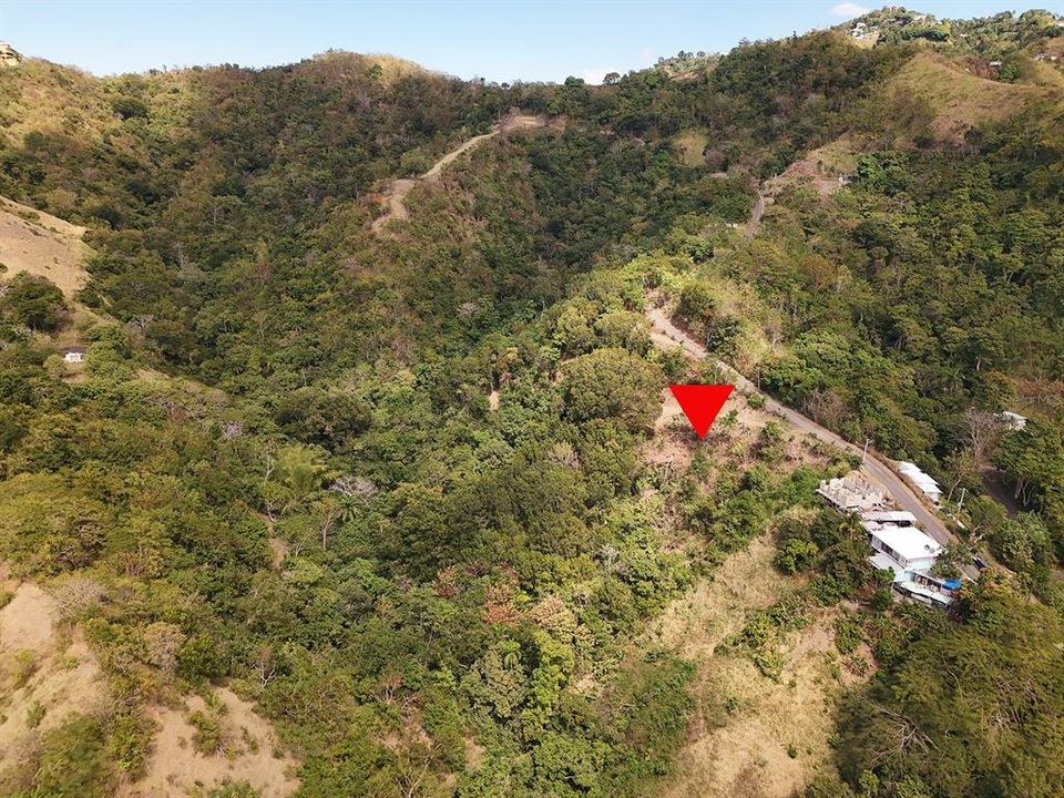 На продажу: $249,000 (3.74 acres)