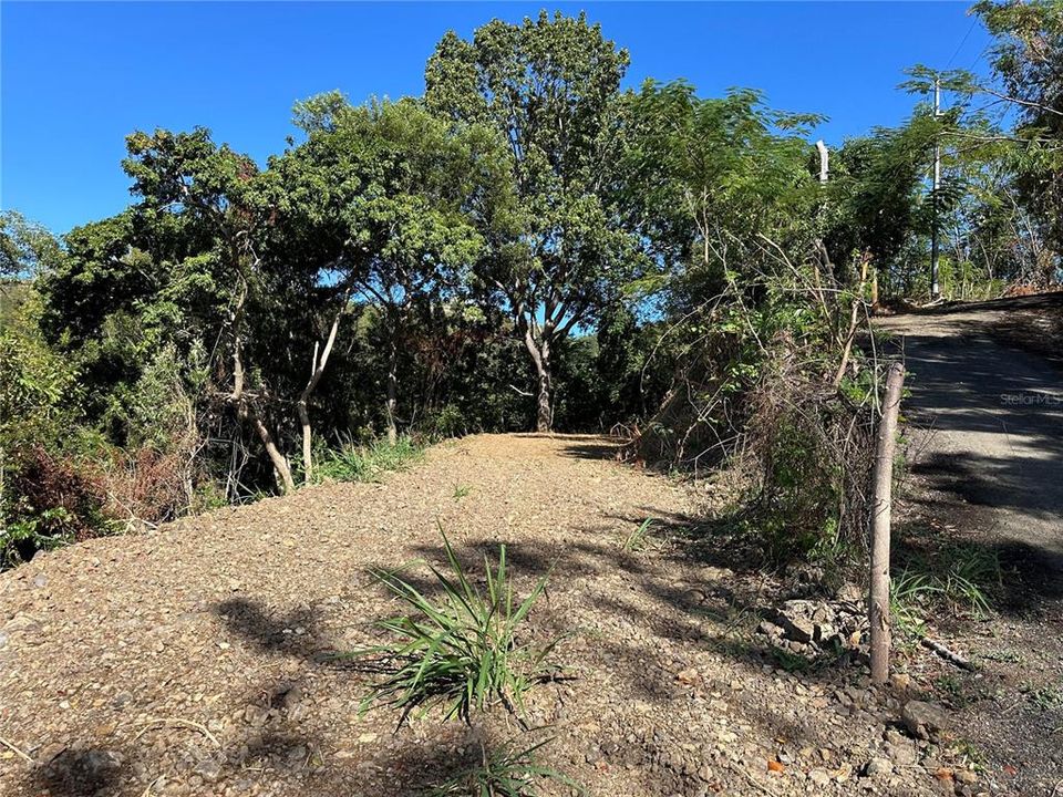 На продажу: $249,000 (3.74 acres)