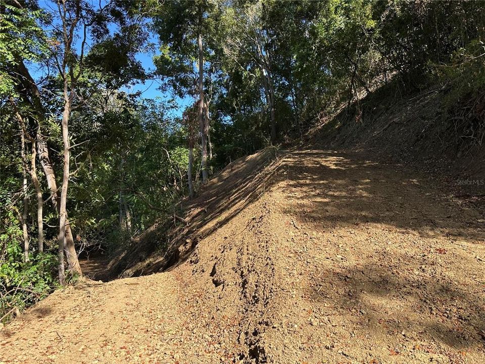 На продажу: $249,000 (3.74 acres)