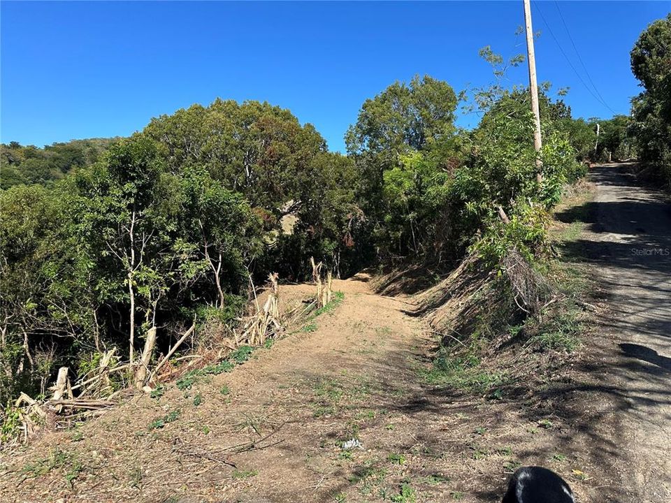 На продажу: $249,000 (3.74 acres)