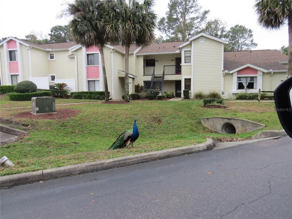 For Sale: $150,000 (2 beds, 2 baths, 1103 Square Feet)