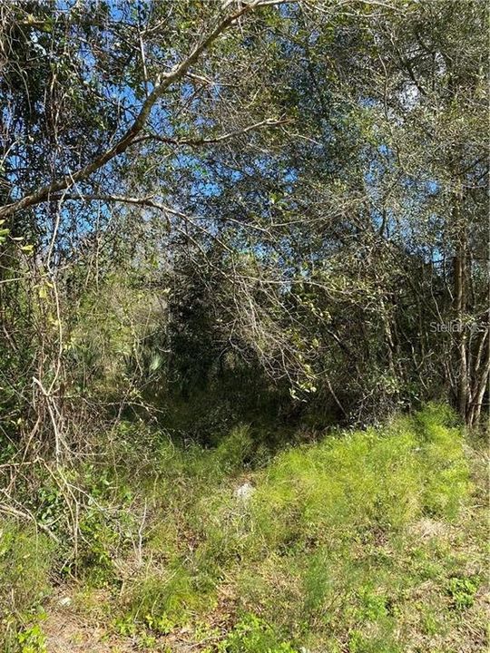 En Venta: $1,056,000 (6.69 acres)