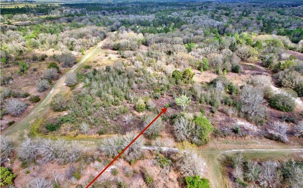 arrow is approximate location, a survey should be completed