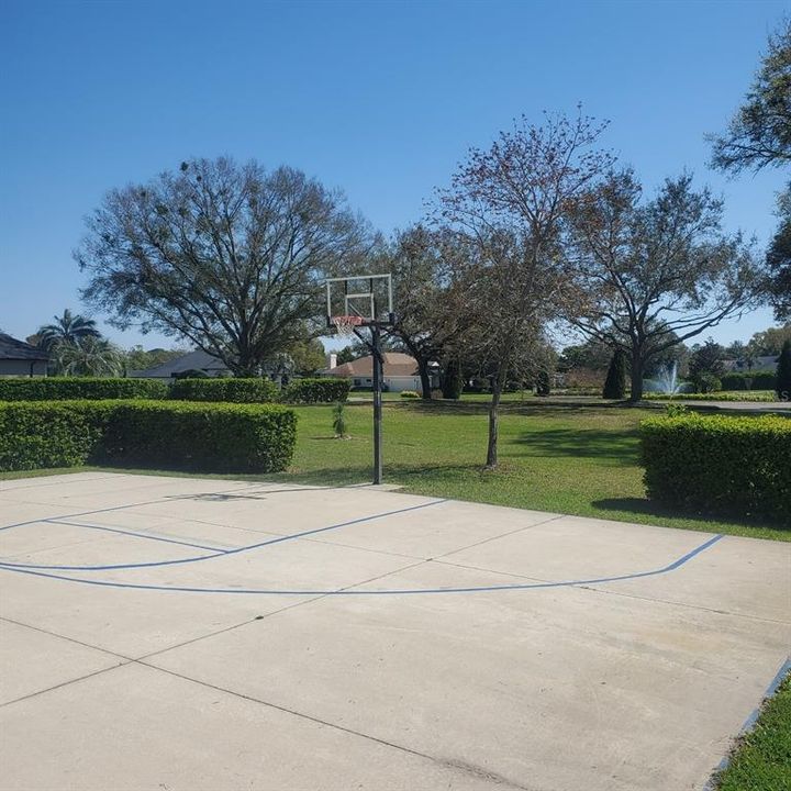 Basketball Court