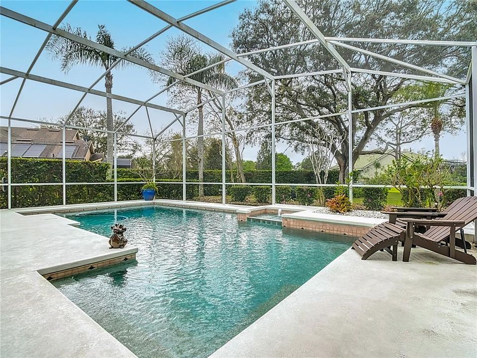 Pool with Screen Enclosure