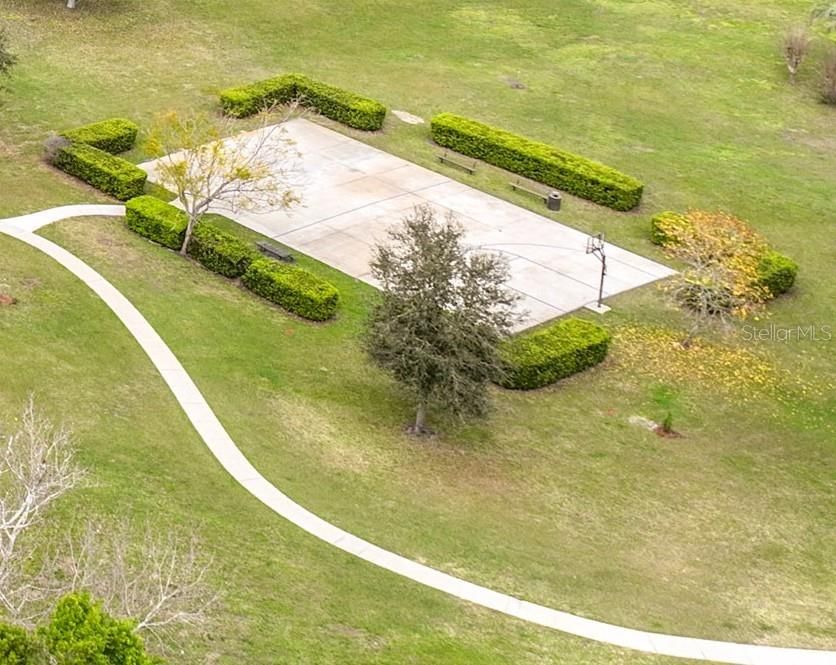 Basketball Court