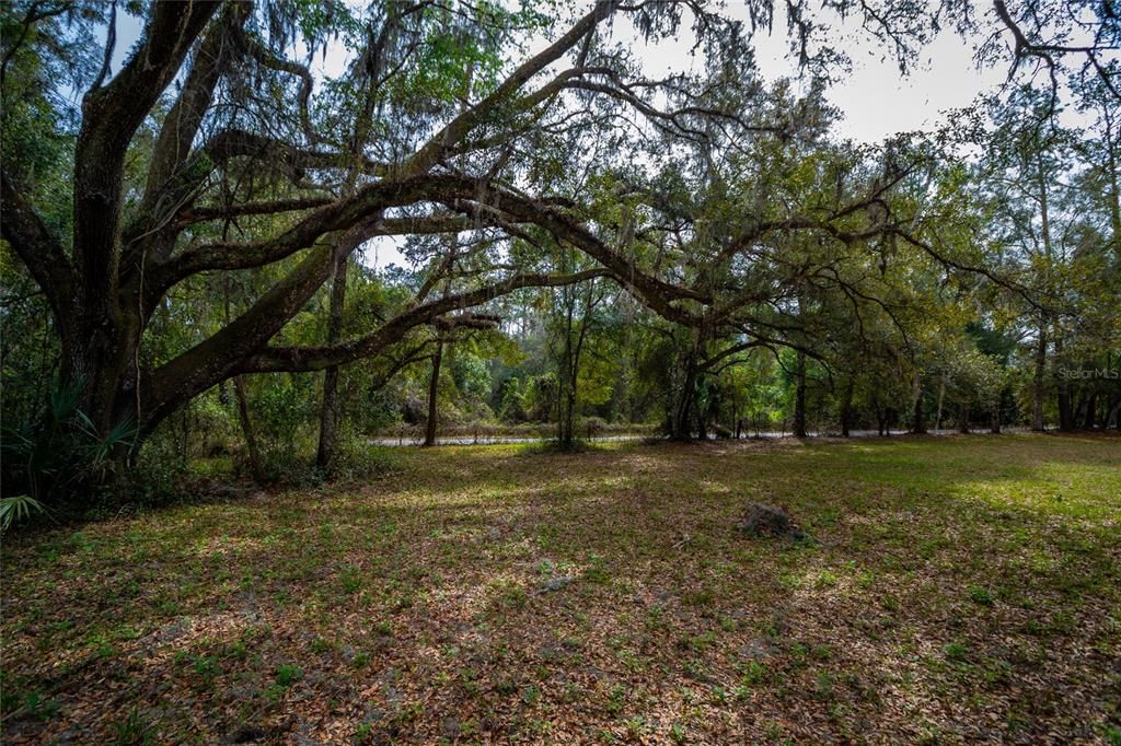 For Sale: $750,000 (22.00 acres)