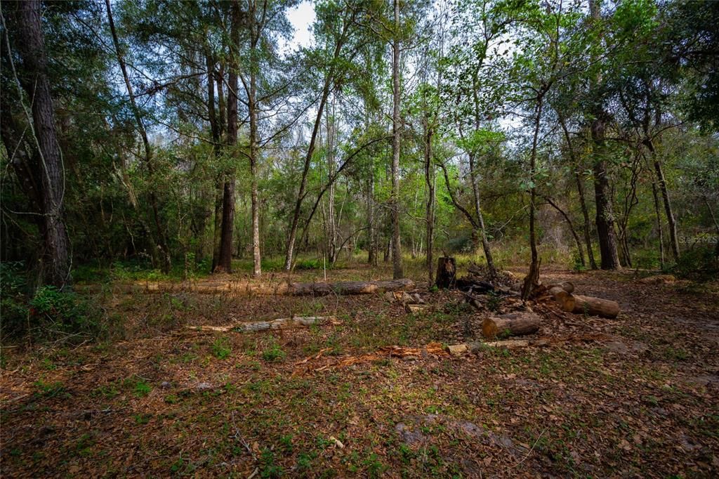 For Sale: $750,000 (22.00 acres)