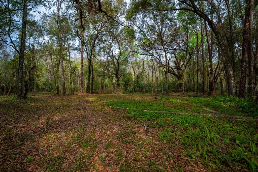 For Sale: $750,000 (22.00 acres)