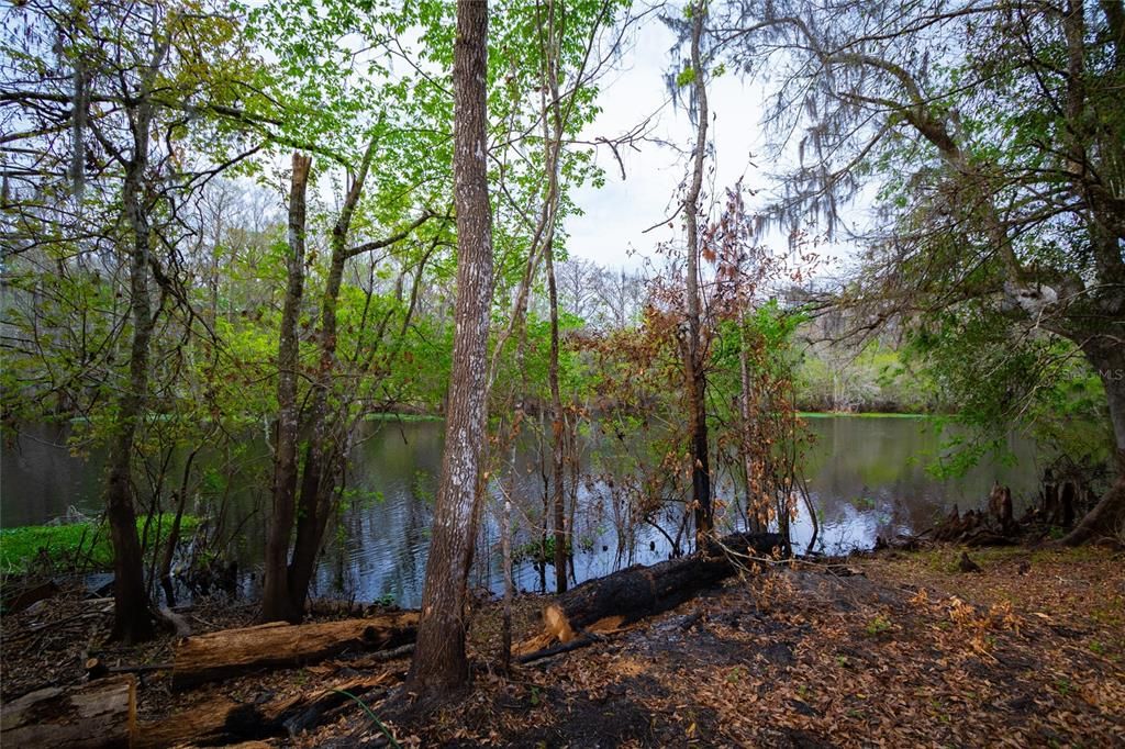 For Sale: $750,000 (22.00 acres)